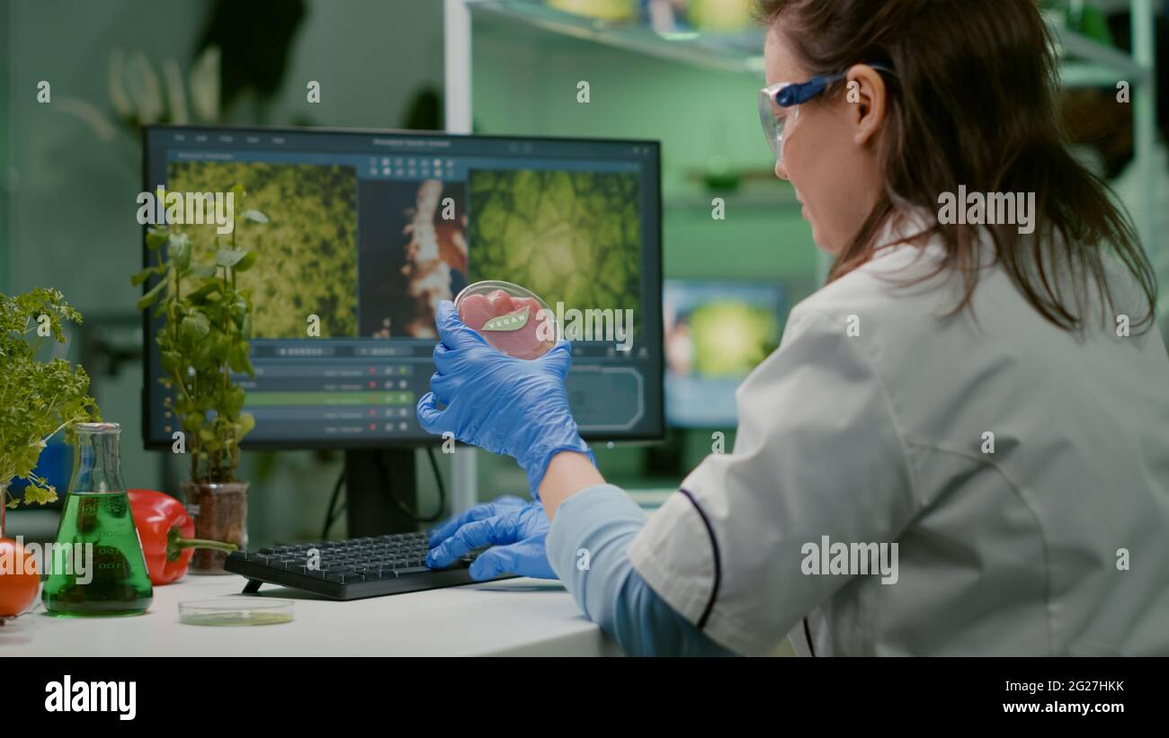 Meat Biochemistry Chemist woman analyzing vegan beef meat for biochemistry experiment ...