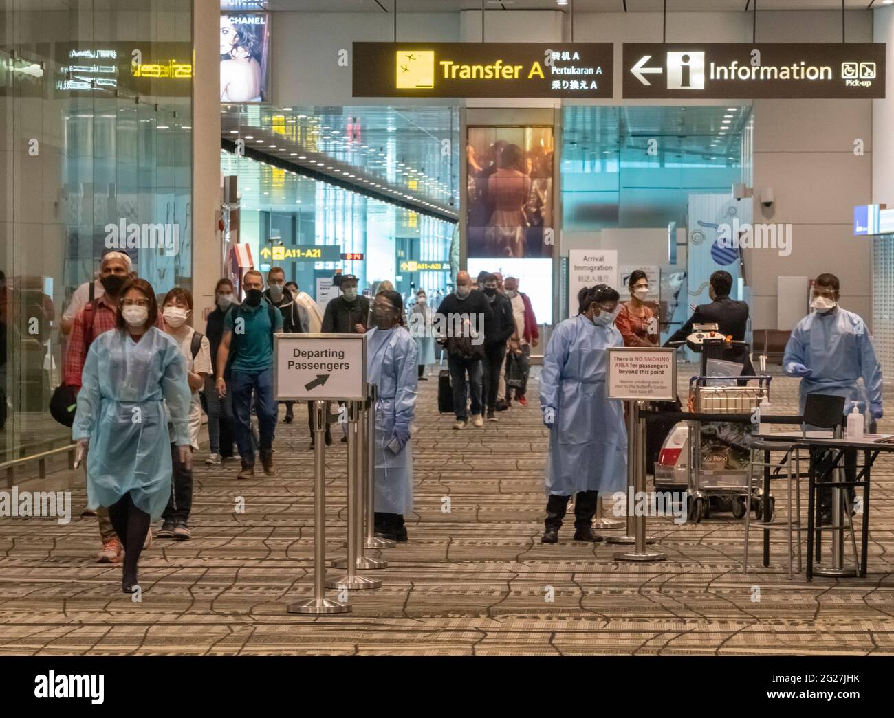 Singapore, 8 June, 2021 - Passengers are escorted by a airport staff member (left) through Singapore 's Changi Airport as other staff check Covid-19 paperwork and passengers body temperatures. All airport staff wear PPE smocks , masks and glasses in the arrival and departure terminals. Before the Covd-19 pandemic, in 2019 Changi Airport was the seventh busiest airport by international passenger traffic in the world and the third busiest in Asia. Credit: Rob Taggart/Alamy Live News Stock Photo