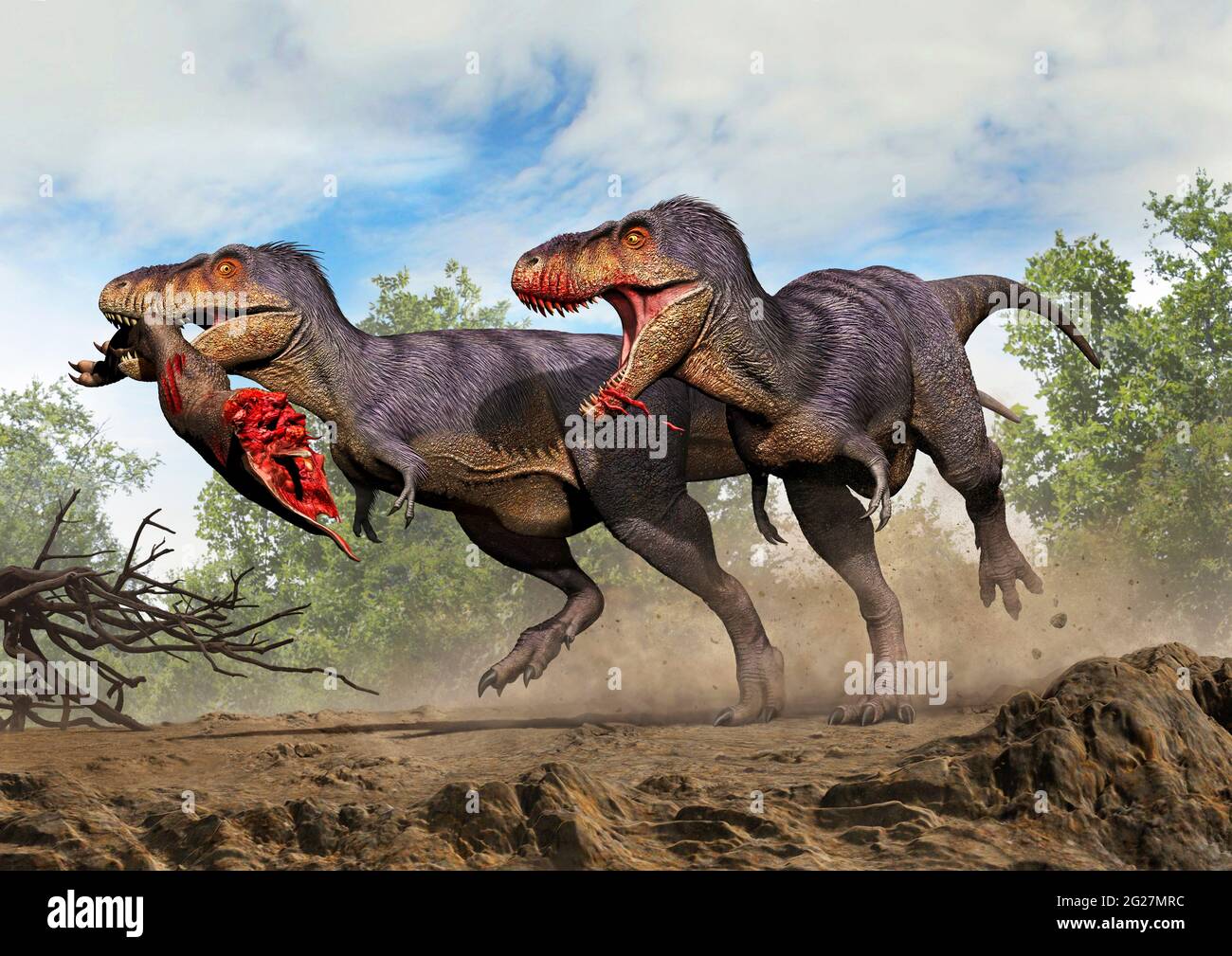Где большой динозавр. Тарбозавр и Тираннозавр. Динозавр Тираннозавр Тарбозавр. Тарбозавр и ти рекс. Тарбозавр Тирекс.