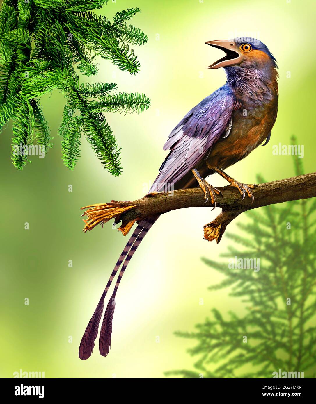 Confuciusornis bird perched on a tree limb Stock Photo Alamy