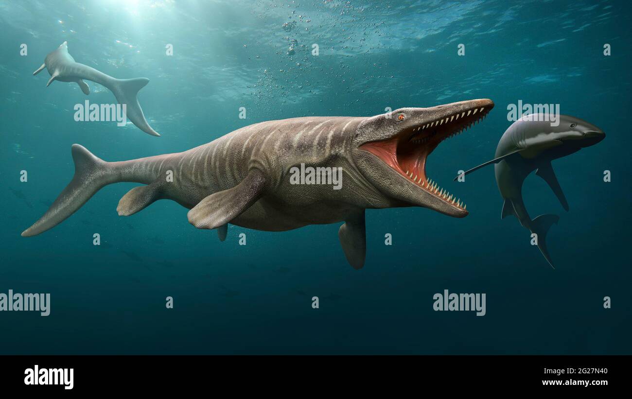 Tylosaurus hunting a shark. Stock Photo