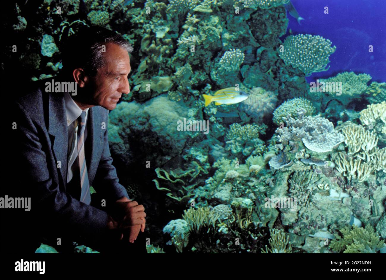 FRANCE. PRINCIPALITY OF MONACO. OCEANOGRAPHY MUSEUM OF MONACO. PROF JEAN  JAUBERT (WORLD CORAL SPECIALIST) FORMER DIRECTOR OF THE EUROPEAN OCEANOLOGY  O Stock Photo - Alamy