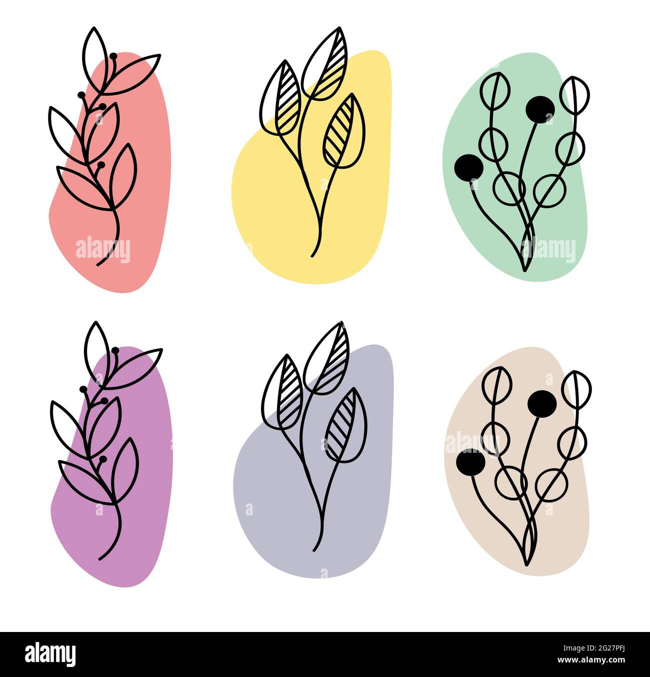 Set of abstract plants.Silhouette.Collection hand drawn, botanical and healing isolated plants.Herbs design template.Twigs and leaves Stock Photo