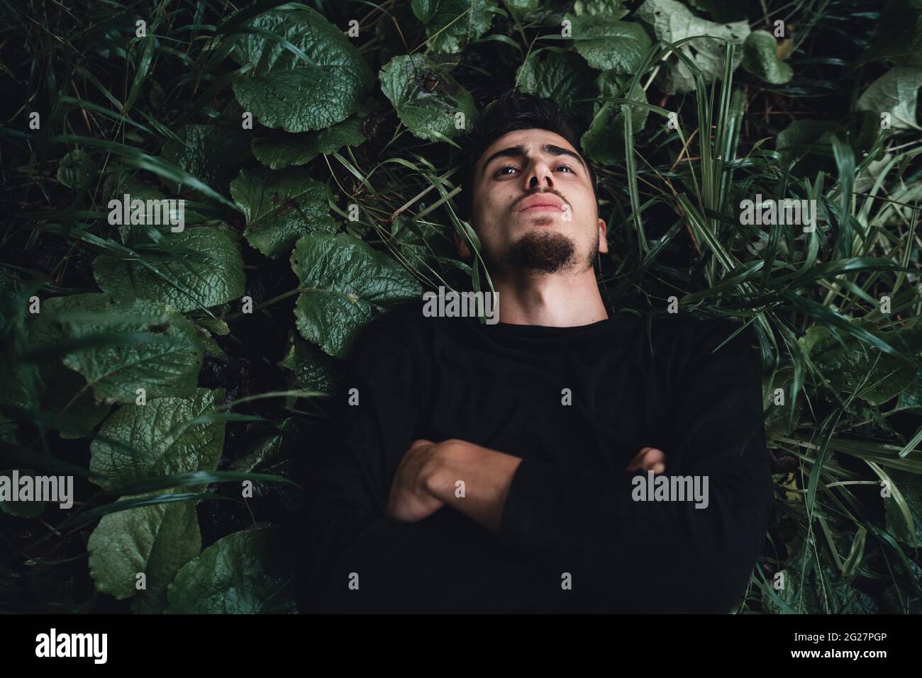 People sleeping in the forest hi-res stock photography and images - Alamy