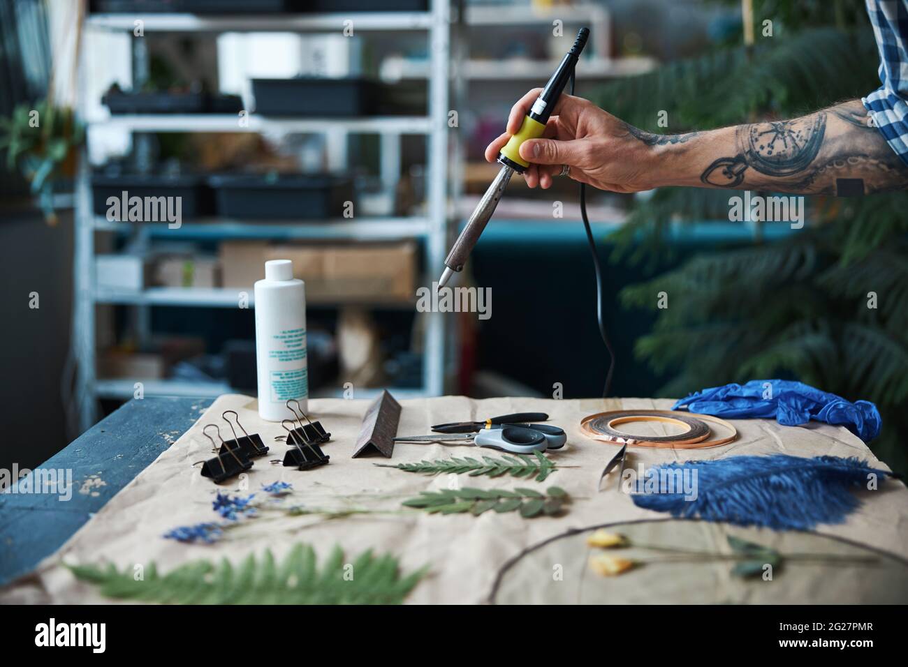 Male hand holding tool for making terrarium Stock Photo Alamy