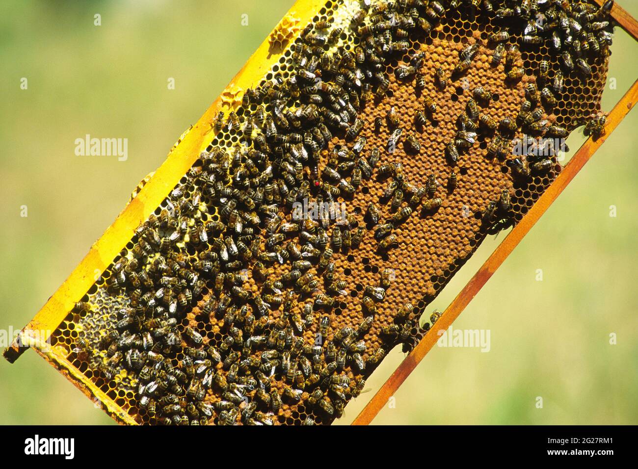 Loading beam hi-res stock photography and images - Alamy