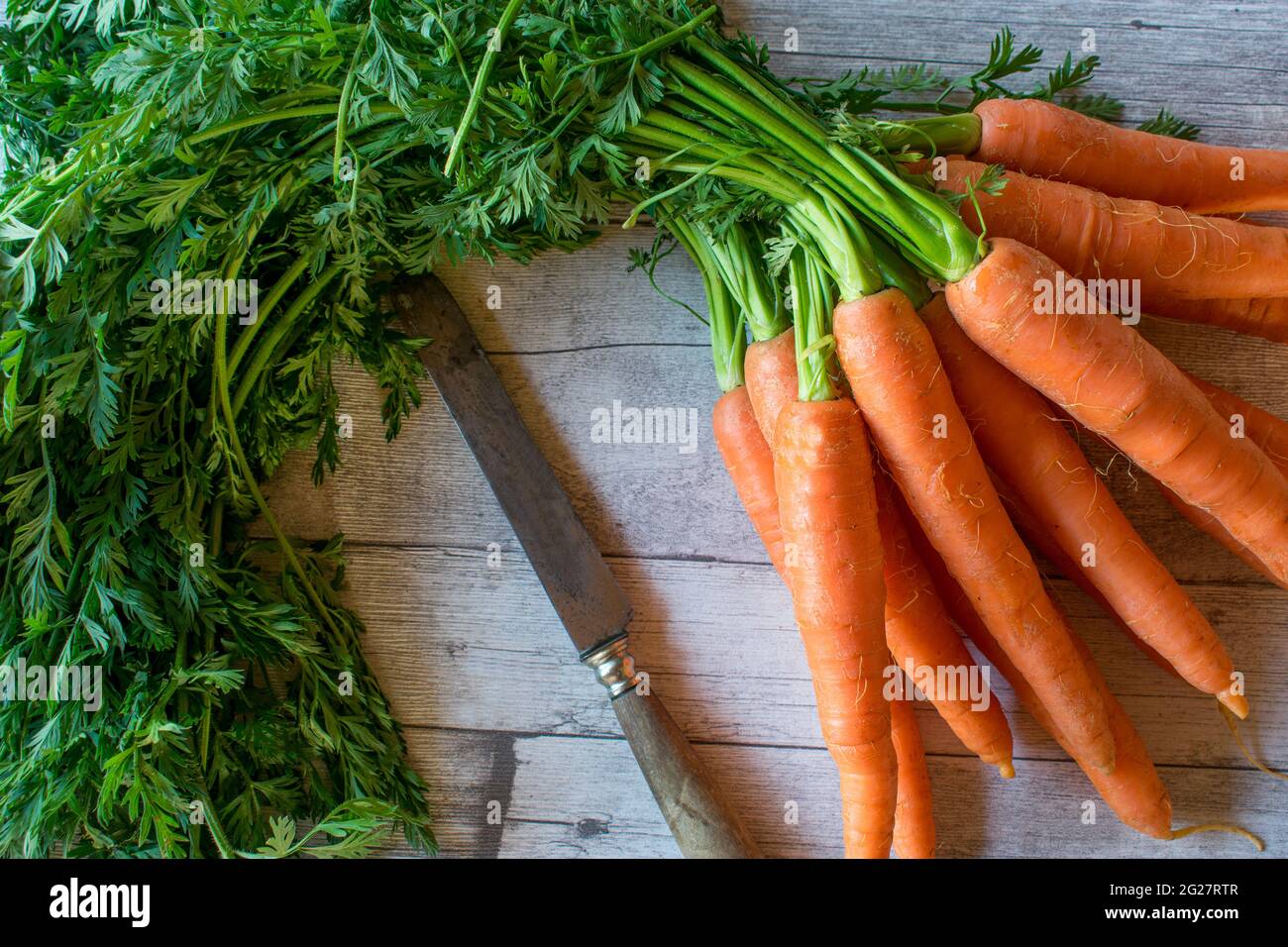 A bundle of fresh carrots with greens on wooden background Stock Photo