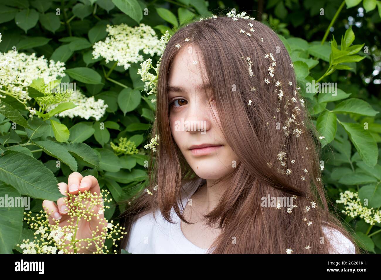 Beautiful girl 13 years old with long hair and an elder tree. Summer bloom in June, human unity with nature or natural hair care with plants. Stock Photo