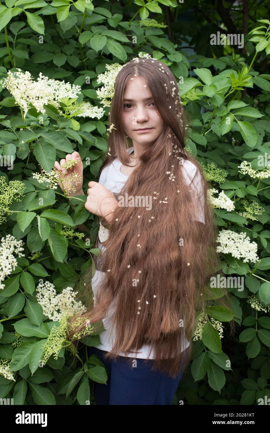 Beautiful girl 13 years old with long hair and an elder tree. Summer bloom in June, human unity with nature or natural hair care with plants. Stock Photo