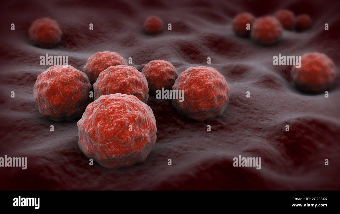 Biomedical illustration of chlamydia on surface Stock Photo Alamy