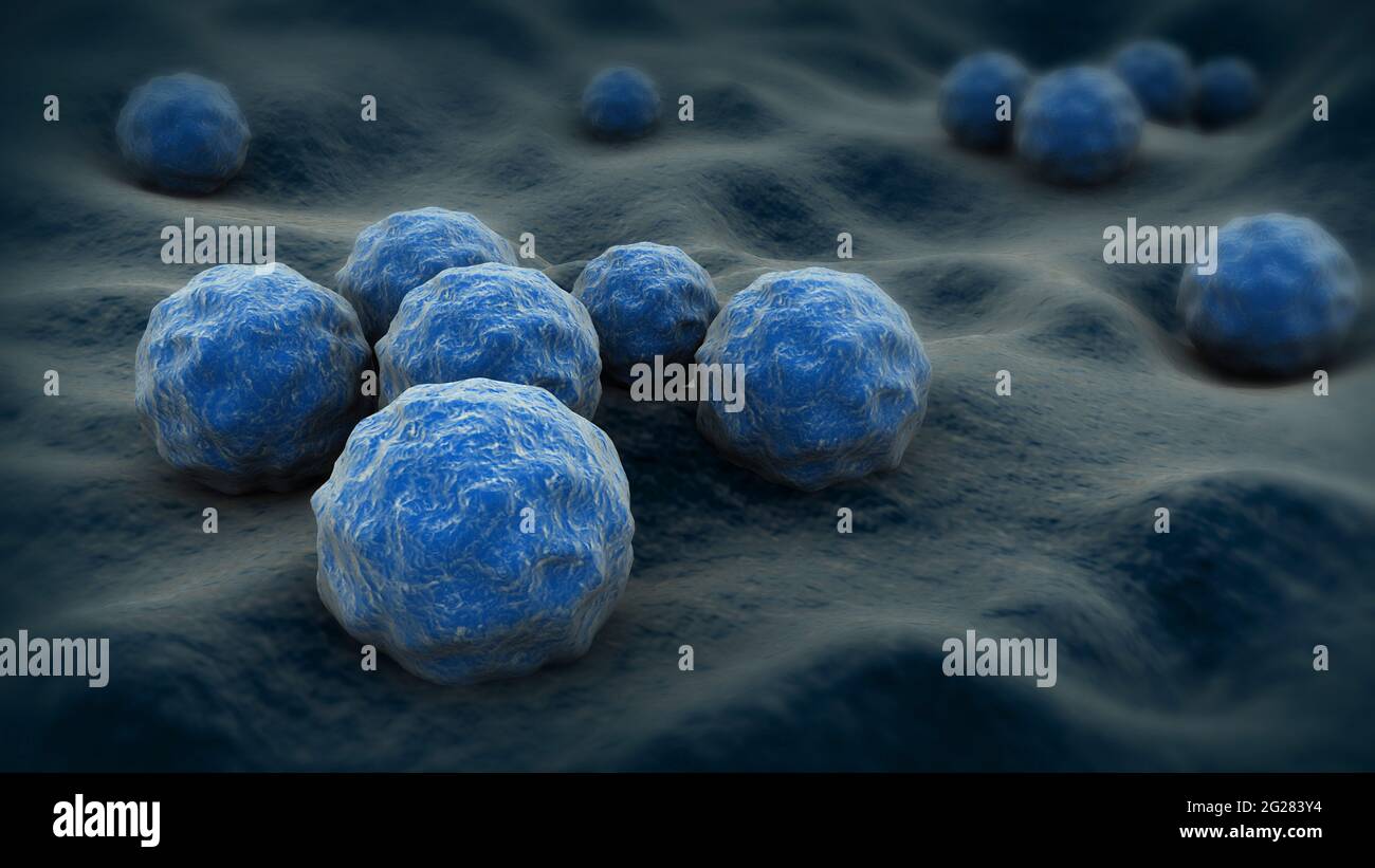 Biomedical illustration of chlamydia on surface Stock Photo Alamy