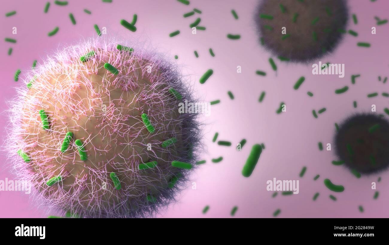 Immune cells attacking tuberculosis bacteria. Stock Photo