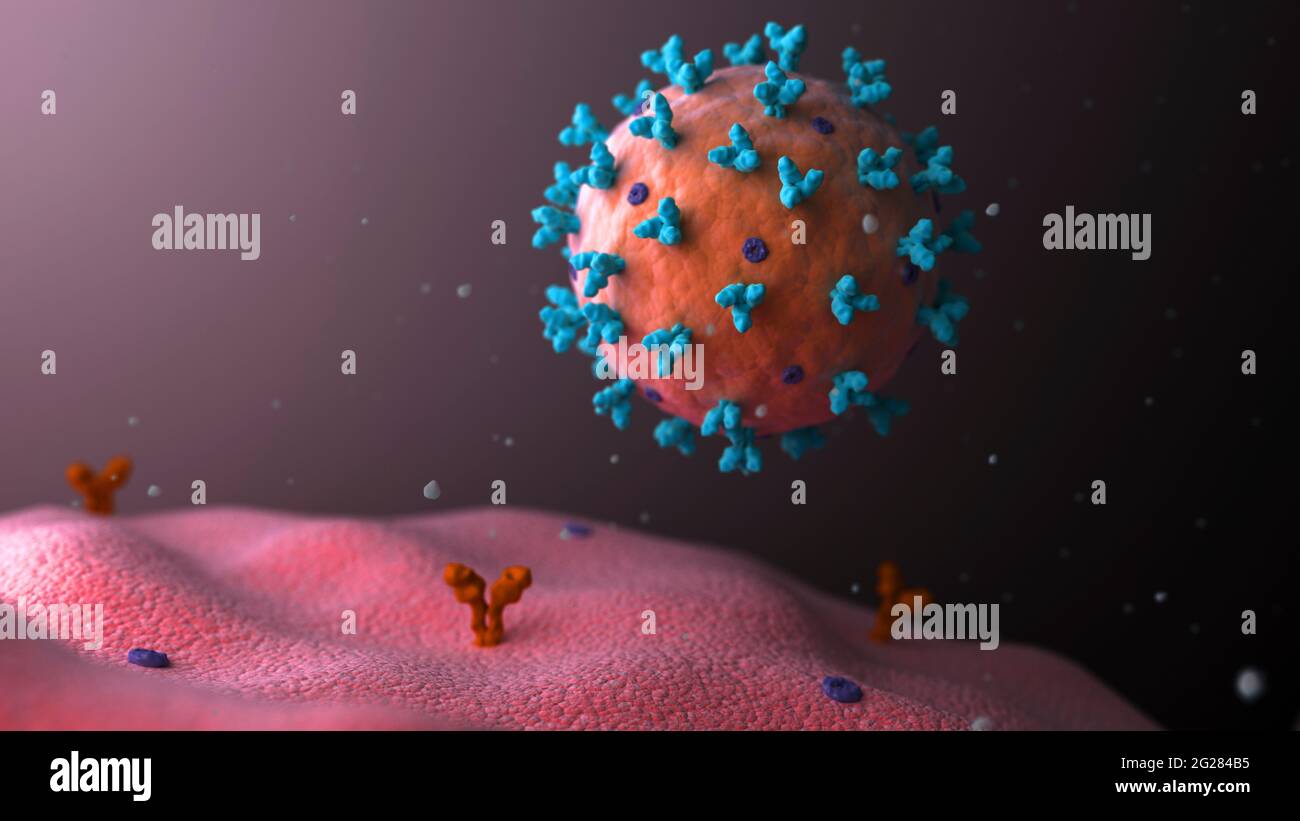 Biomedical illustration of lassa virus attaching to cell. Stock Photo