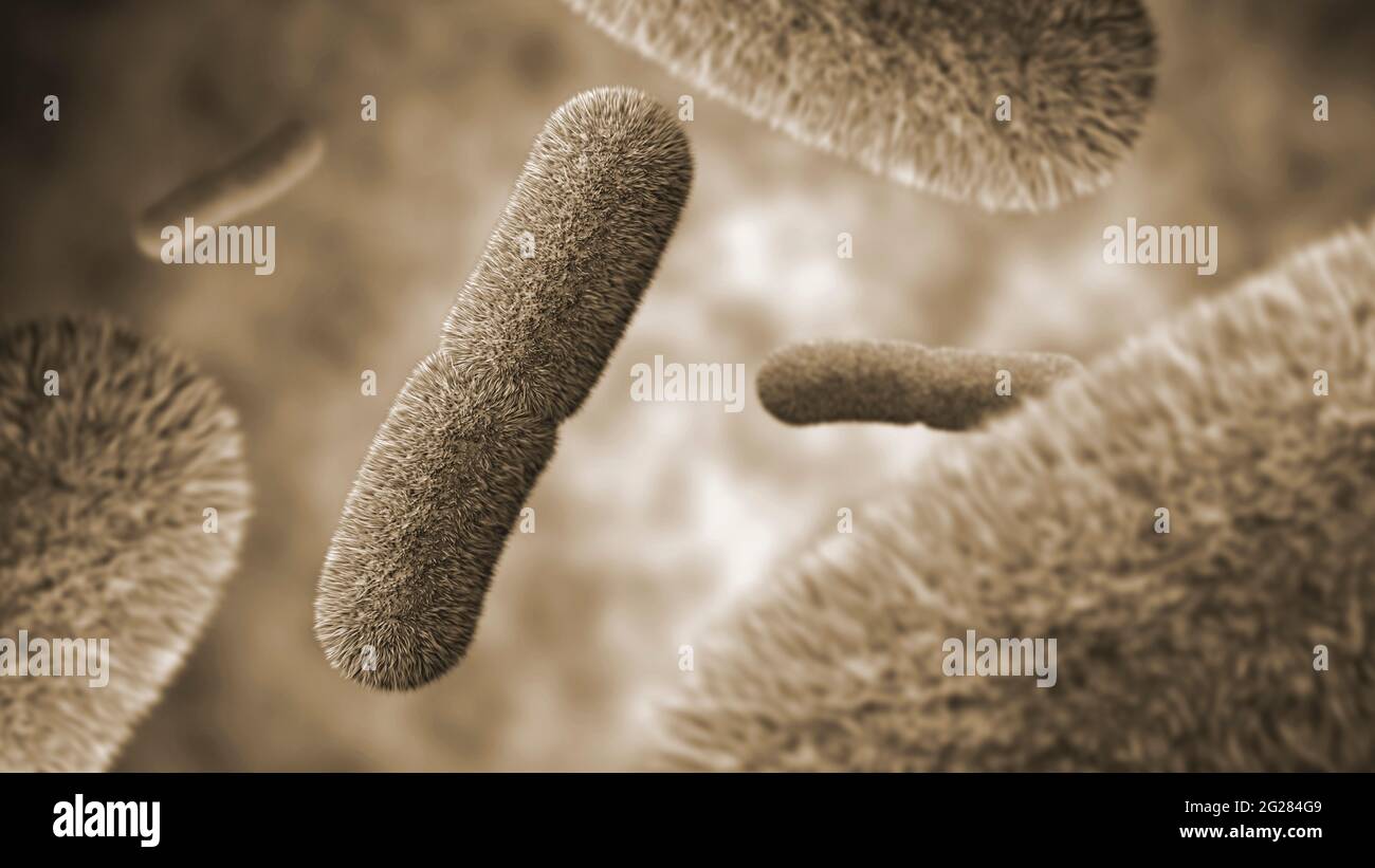 Microscopic view of Yersinia pestis bacteria floating. Stock Photo