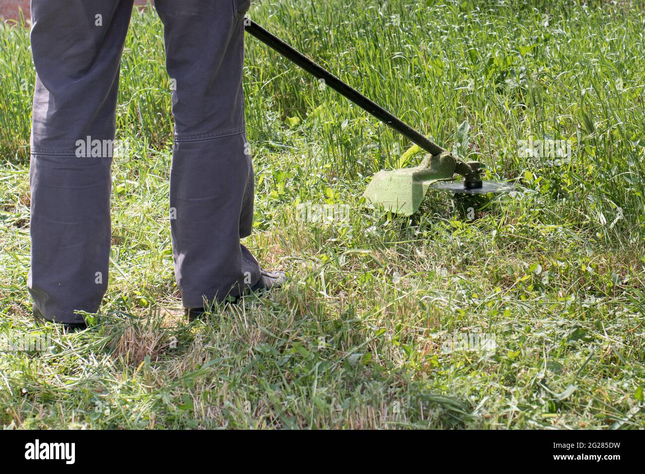A man with an electric lawn mower mows the grass. For a gardening equipment store with a place for text. Stock Photo