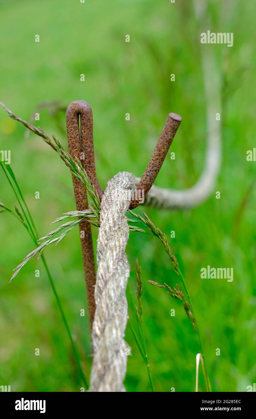 A Pitcher Hanging on a Rope in the Garden. Playful. Stock Image - Image of  countryside, break: 213828669