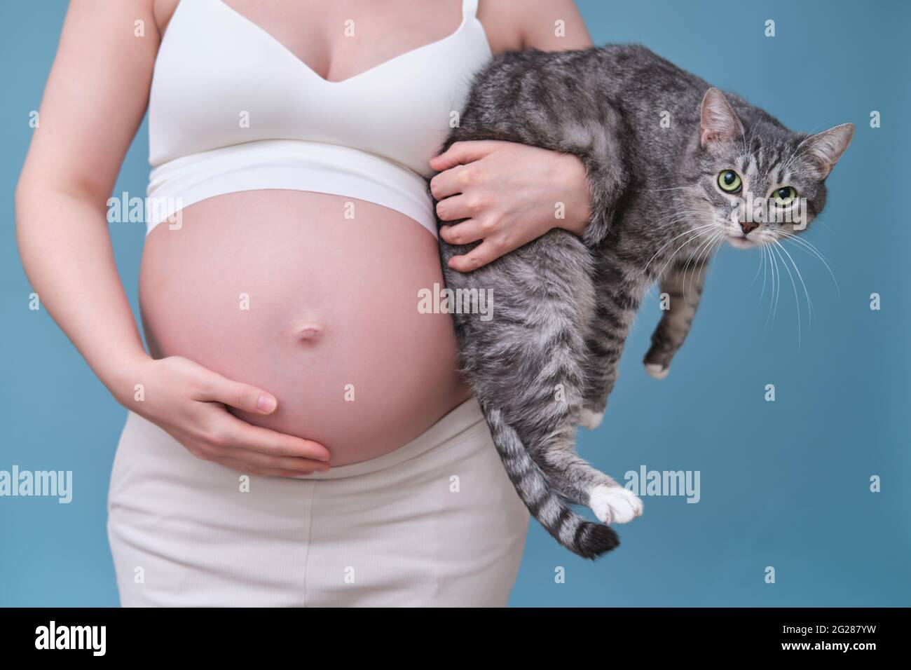 Cat best sale pregnant woman