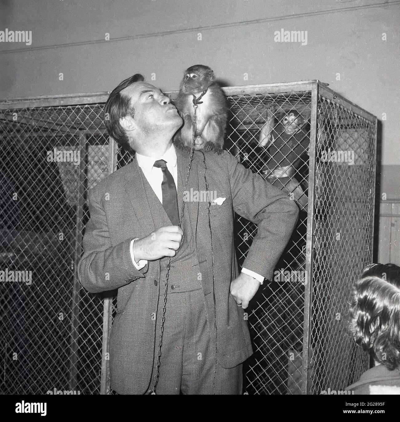 1960s, historical, infront of a metal cage, a well dressed man in a three piece check patterned suit with a small monkey on his shoulder, Scotland, UK. In the cage there is another small monkey. The man in the smart suit is Bill Tennent, a leading personality in the early years of Scottish Television. He appeared in many programmes, including those on religion, education and documentaries. In addition, several chat shows were built around him, including The Bill Tennent Show and Time Out With Tennent. Stock Photo