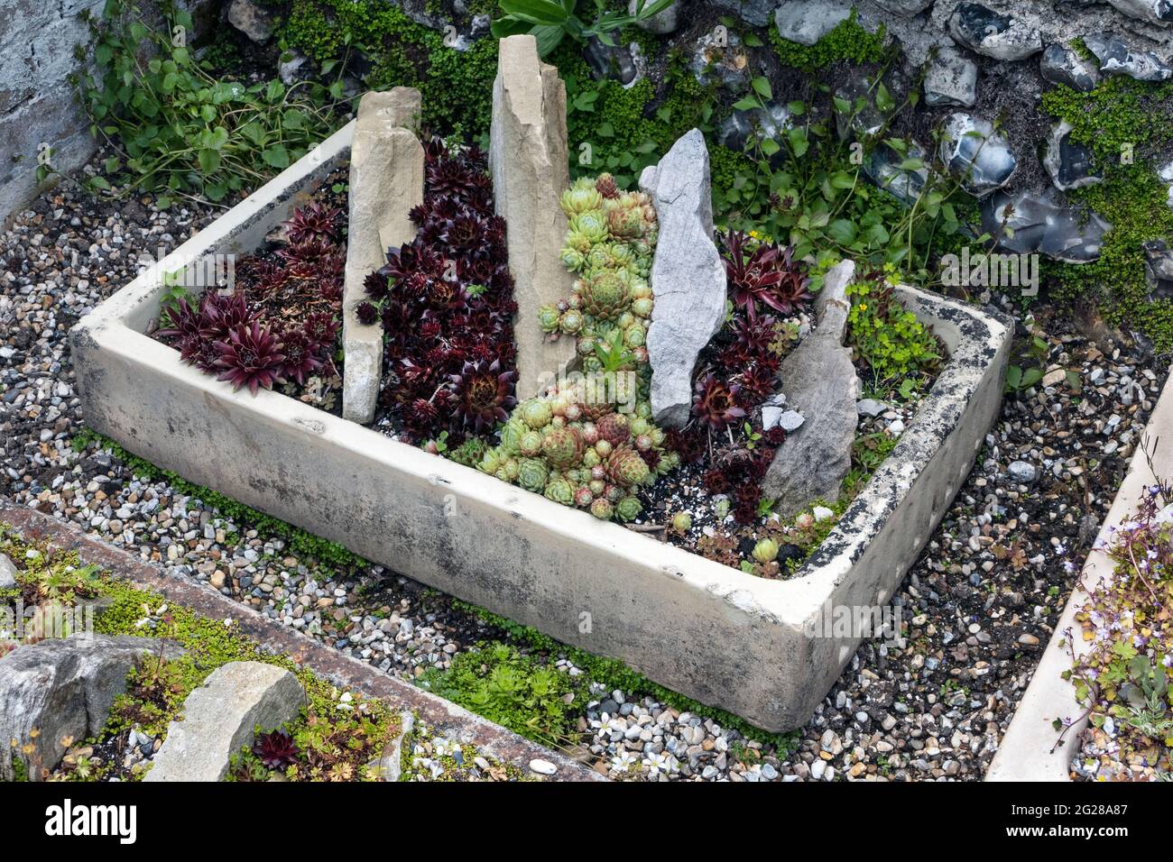 Succulent Rock garden Stock Photo