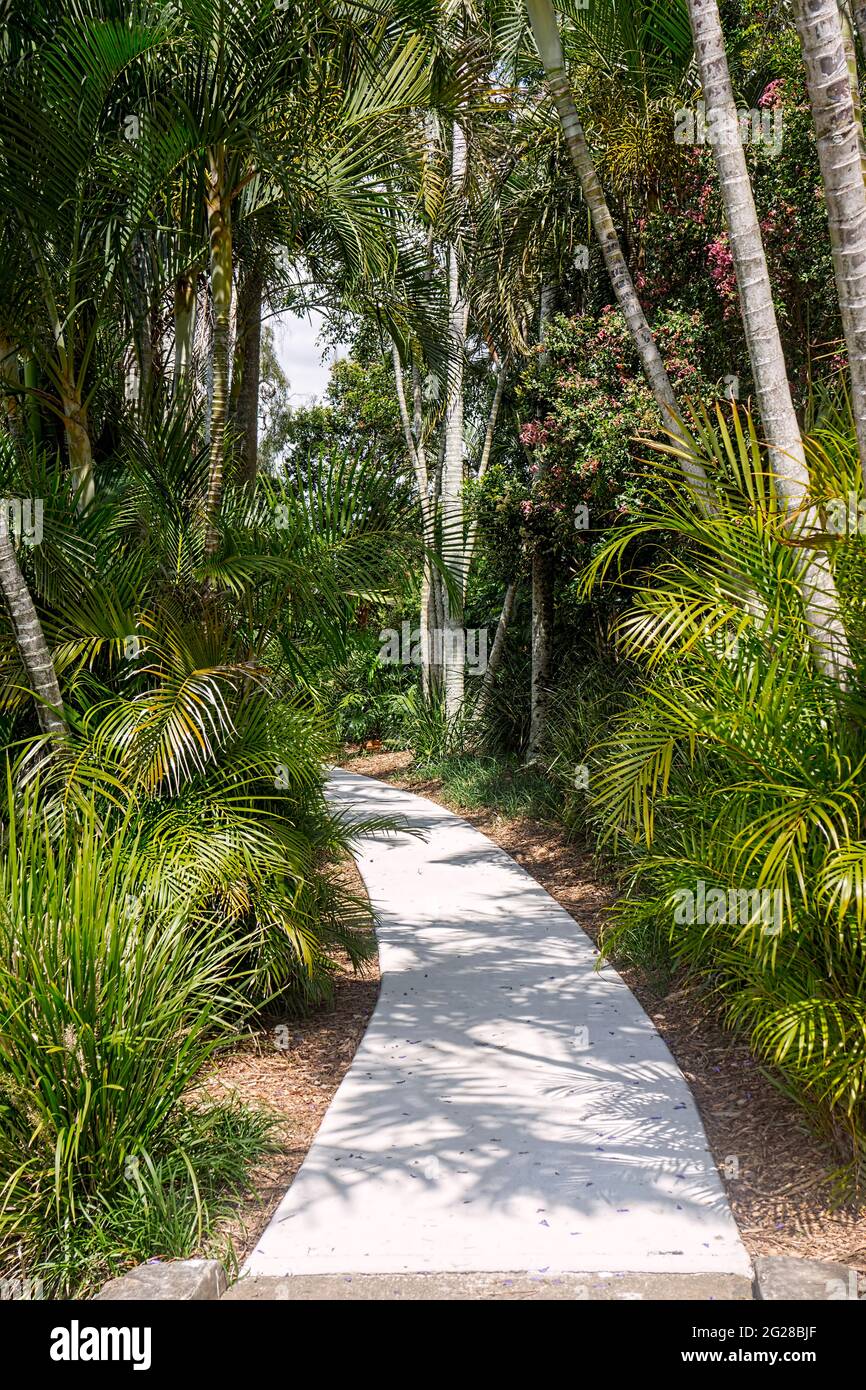 Curved garden path lined with palm trees and tropical vegetation inviting you to walk along it. Stock Photo