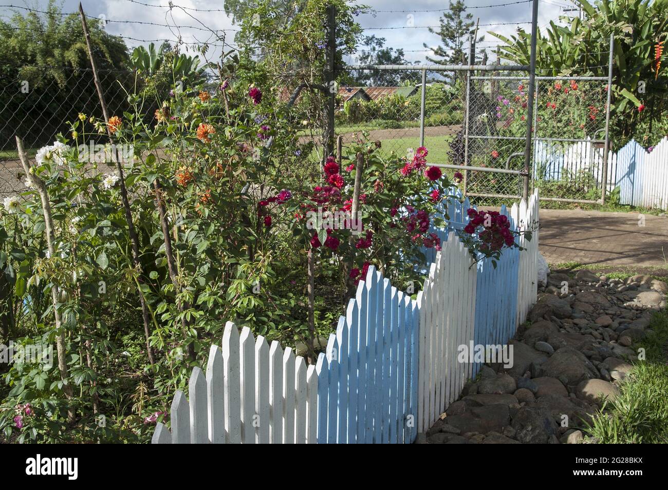 Papua New Guinea; Goroka; The garden is fenced with a wooden blue fence. Der Garten ist mit einem blauen Holzzaun eingezäunt. Ogródek, drewniany płot Stock Photo