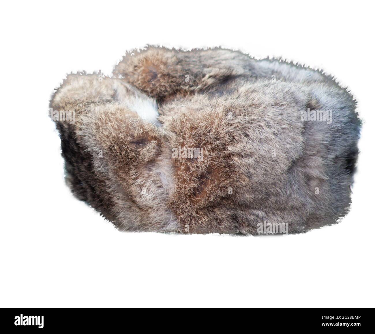 Fur hat with earflaps isolated on white background. Stock Photo