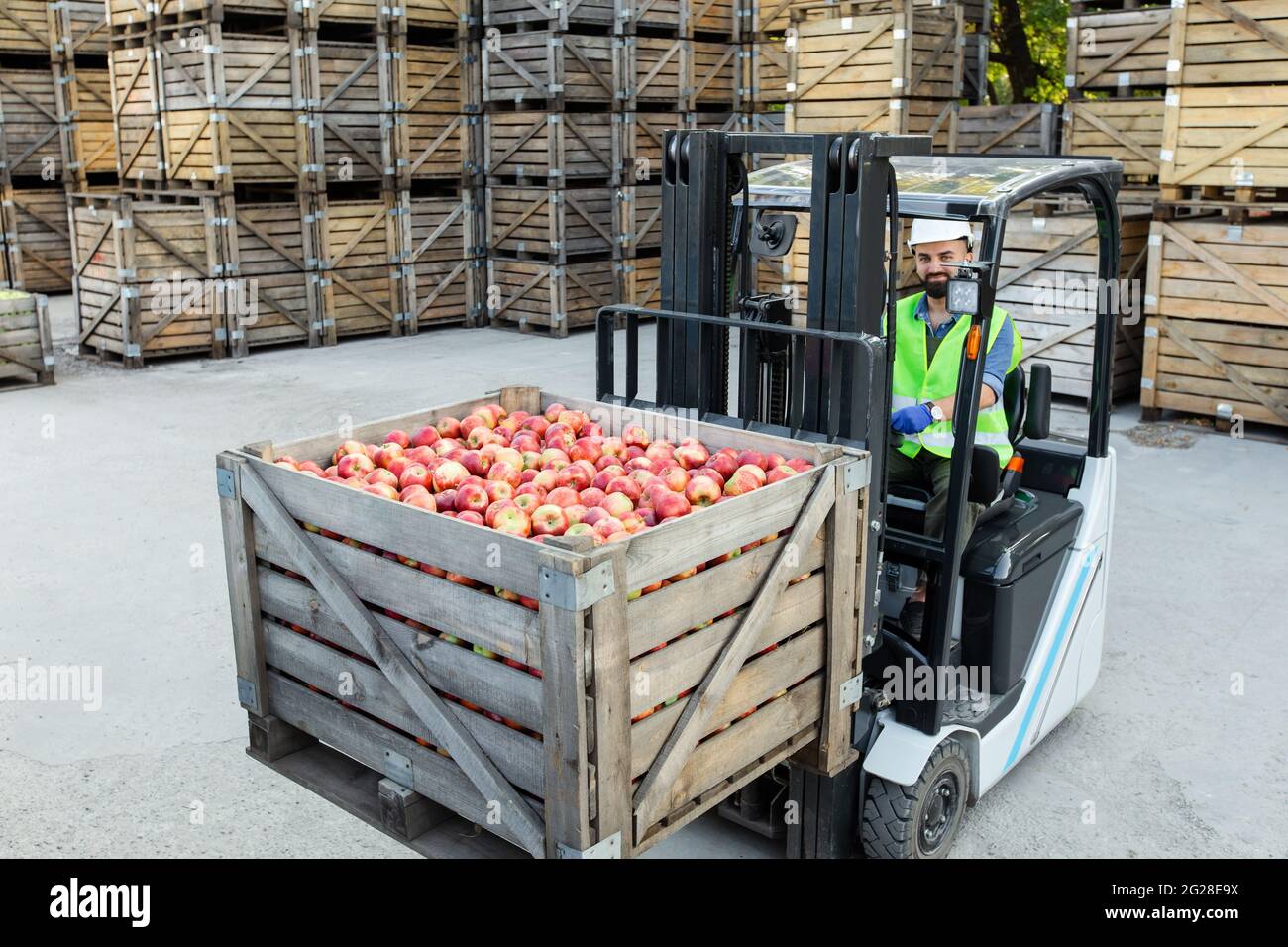 Work in warehouse with eco fruits, modern healthy food industry Stock