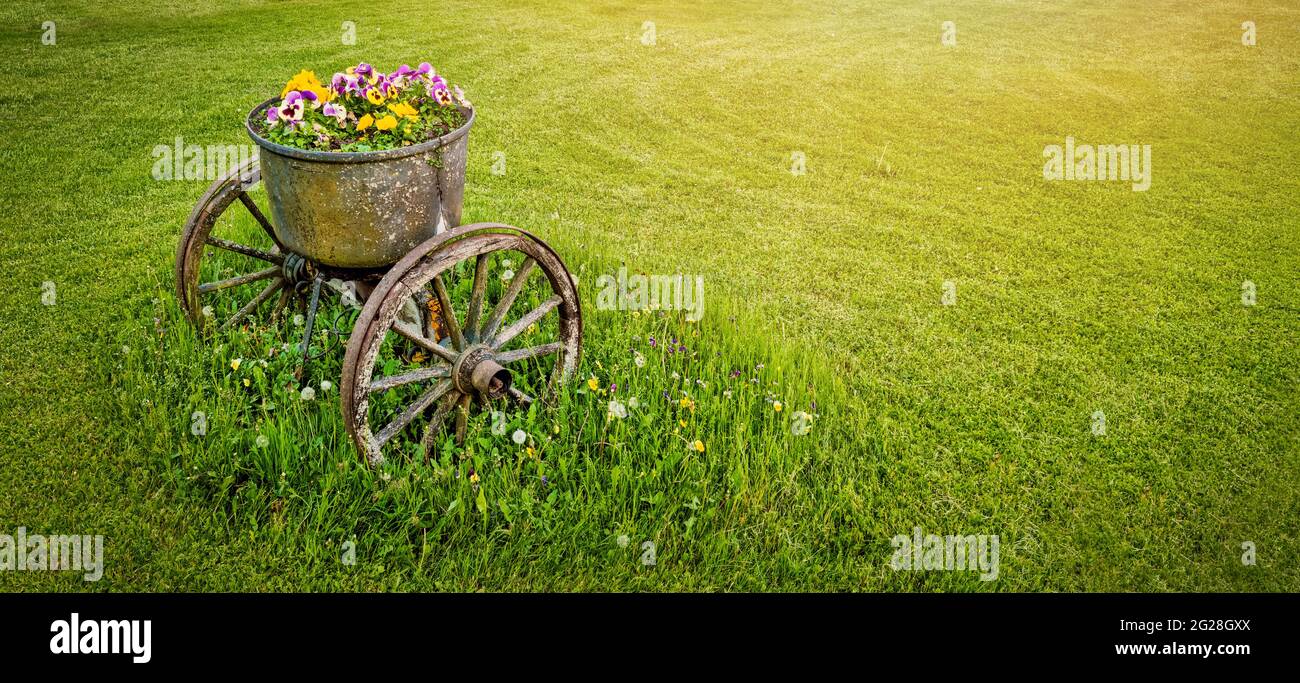 garden decoration - old wheeled metal flower pot in green grass. banner copy space Stock Photo