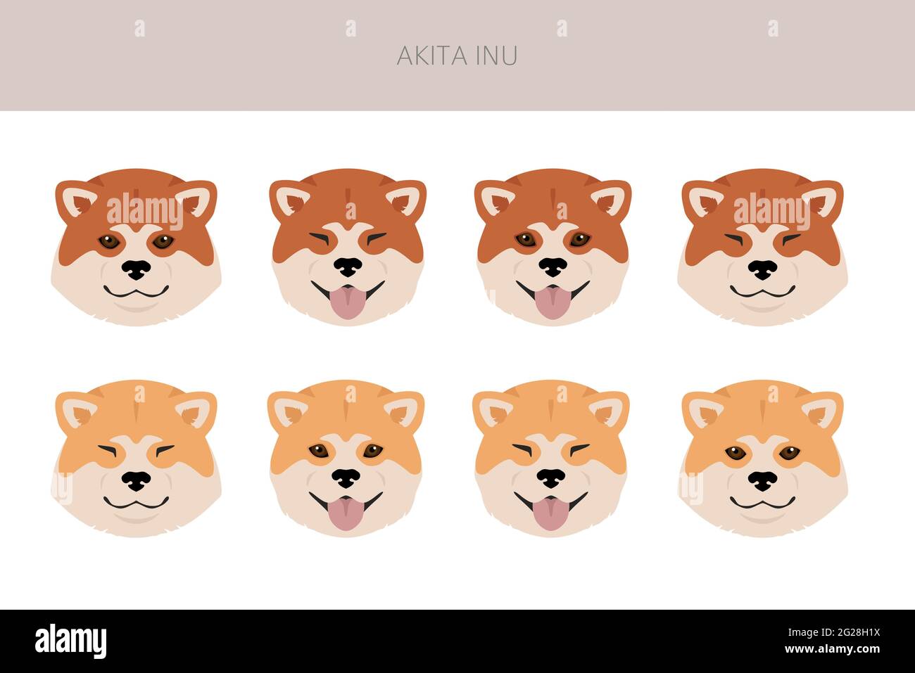Akita Inu all colours clipart. Different coat colors set. Vector illustration Stock Vector