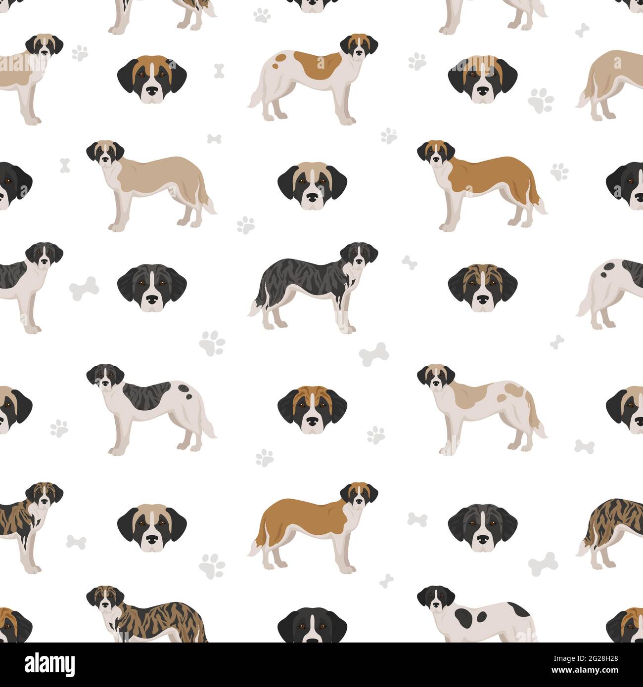 Alentejo mastiff all colours seamless pattern. Different coat colors set.  Vector illustration Stock Vector