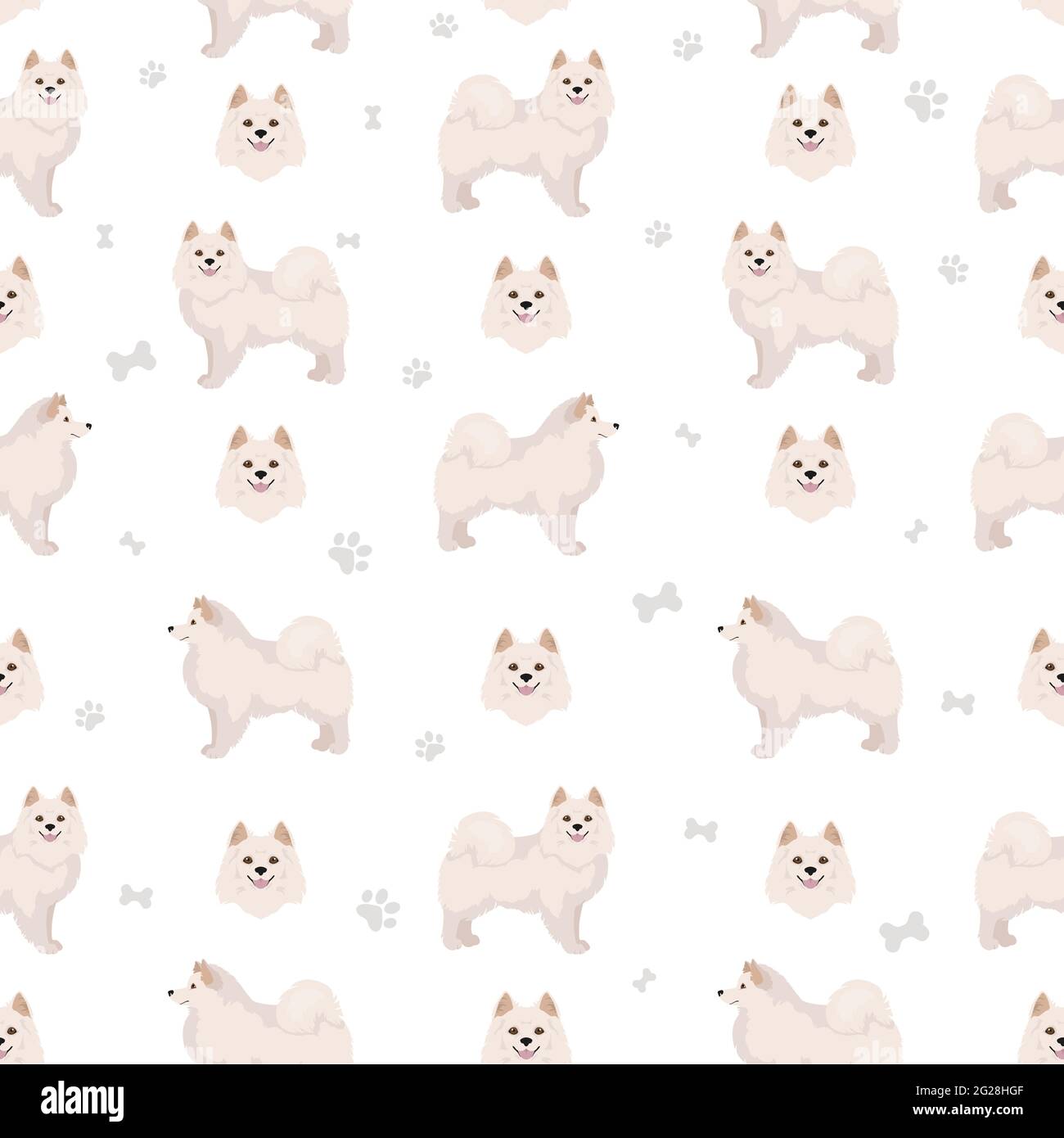 American eskimo dog all colours seamless pattern.. Different coat