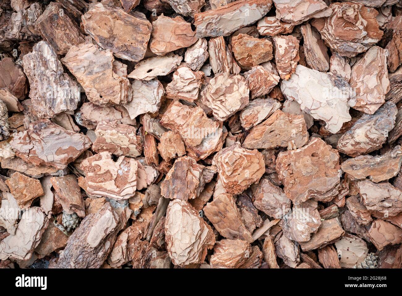 Background of pine bark nuggets layer used for gardening. Natural texture Stock Photo