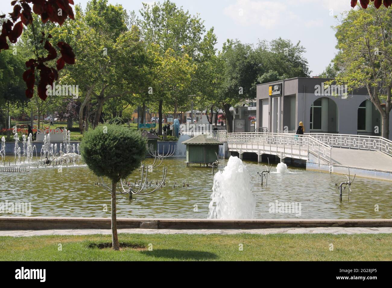 duck house in the pool Stock Photo Alamy
