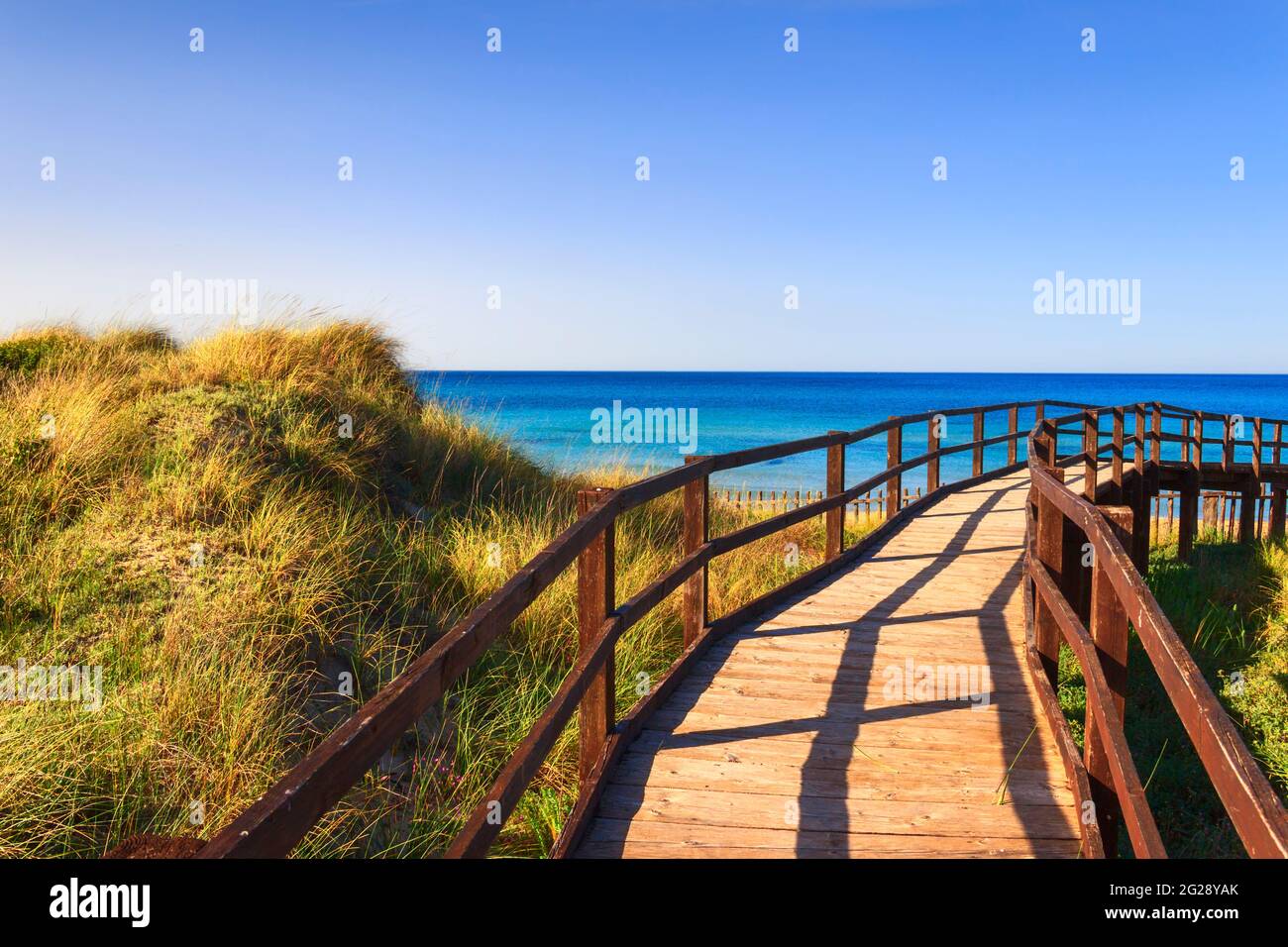 The Regional Natural Park Dune Costiere (Torre Canne): fence between sea dunes, Apulia (Italy). Stock Photo