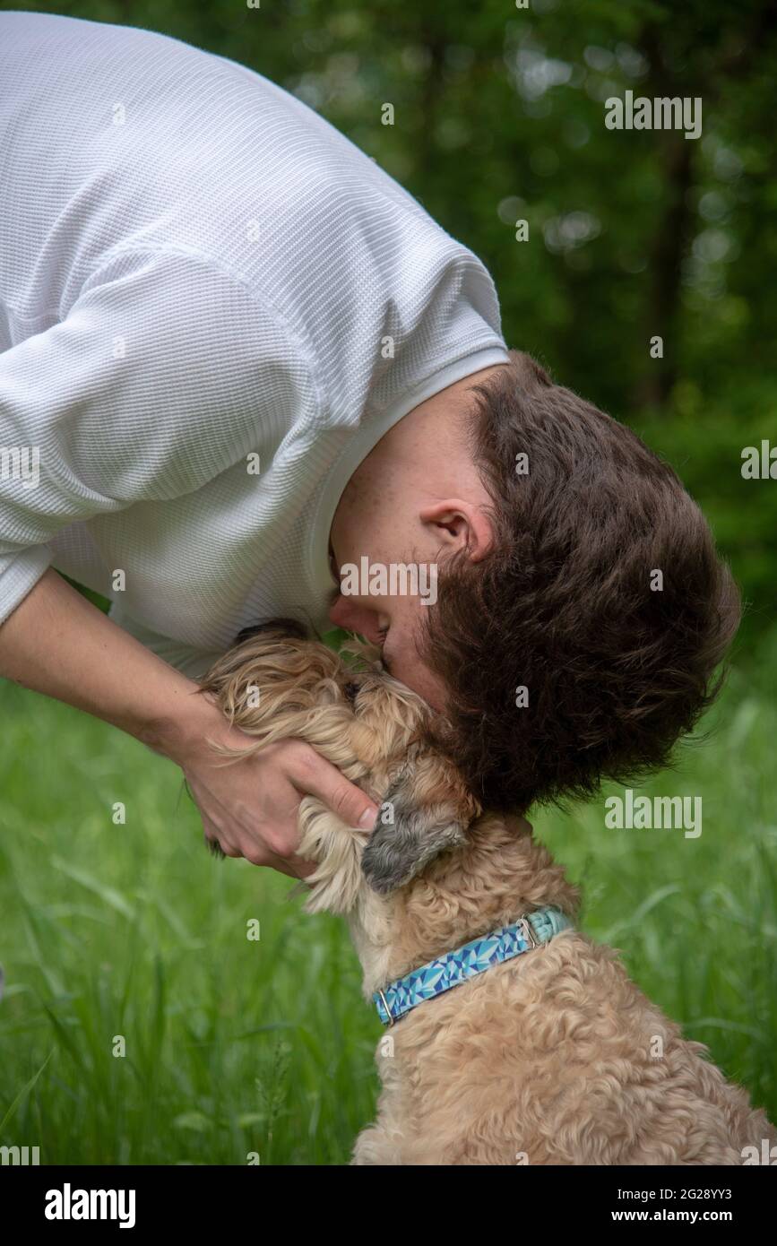 A teenage boy hugs his furry dog on a walk. Irish Soft Coated wheaten terrier. Stock Photo