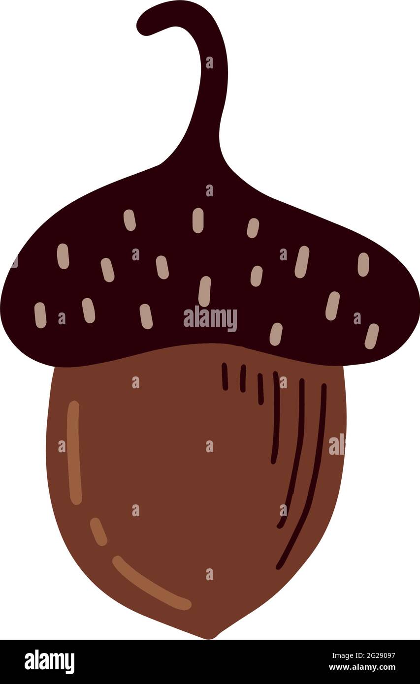 Hazelnuts. Vector illustration Stock Vector Image & Art Alamy