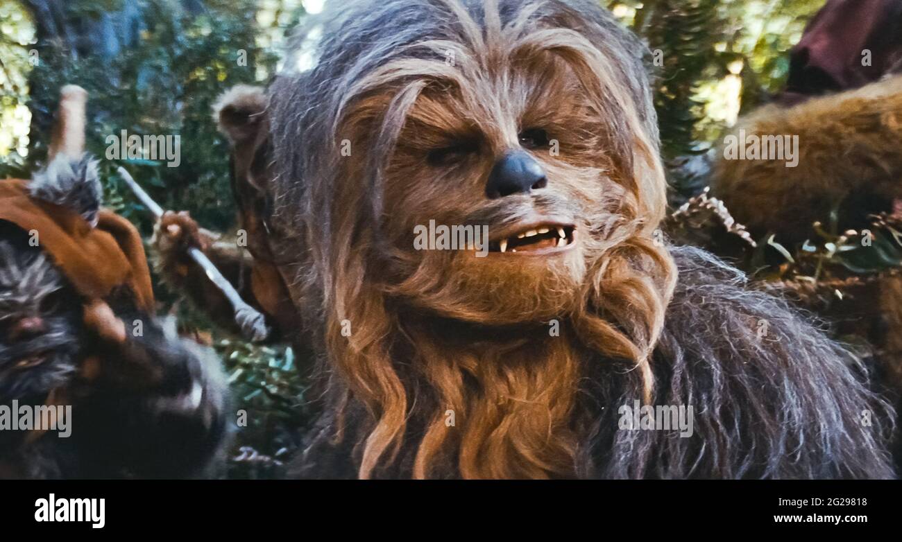 USA. Peter Mayhew as Chewbacca  in a scene from the (C)Twentieth Century Fox film: Star Wars: Return of the Jedi (1983).  Plot: After a daring mission to rescue Han Solo from Jabba the Hutt, the Rebels dispatch to Endor to destroy the second Death Star. Meanwhile, Luke struggles to help Darth Vader back from the dark side without falling into the Emperor's trap.  Ref: LMK110-J7166-080621  Supplied by LMKMEDIA. Editorial Only. Landmark Media is not the copyright owner of these Film or TV stills but provides a service only for recognised Media outlets. pictures@lmkmedia.com Stock Photo