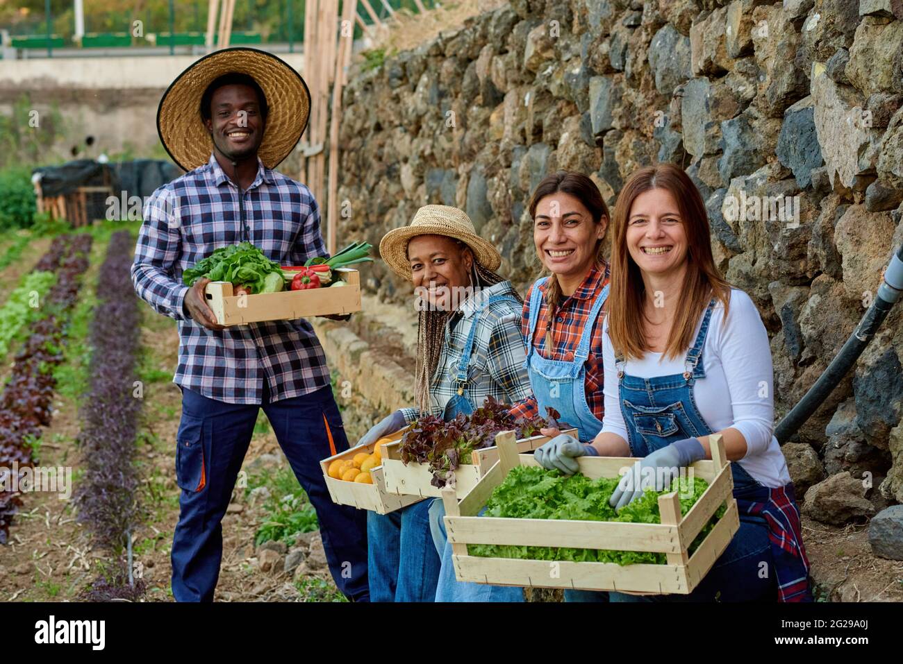 Cheerful multiracial farmers with fresh vegetables in boxes on ...