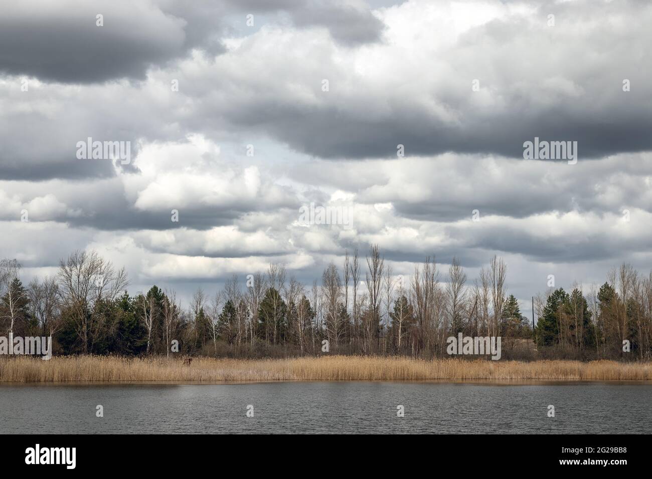 View of the river bay and forest in ghost town Pripyat, nature and dramatic cloudy sky in early spring in Chernobyl Exclusion Zone, Ukraine Stock Photo