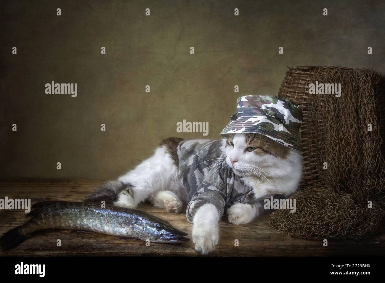 Cat and pike fish on the riverside Stock Photo