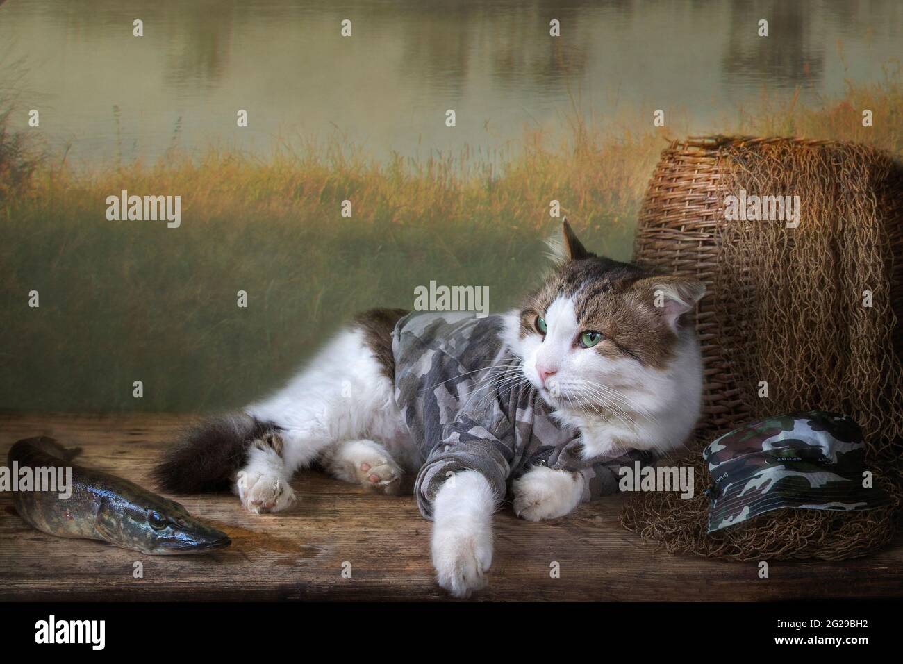 Cat and pike fish on the riverside Stock Photo