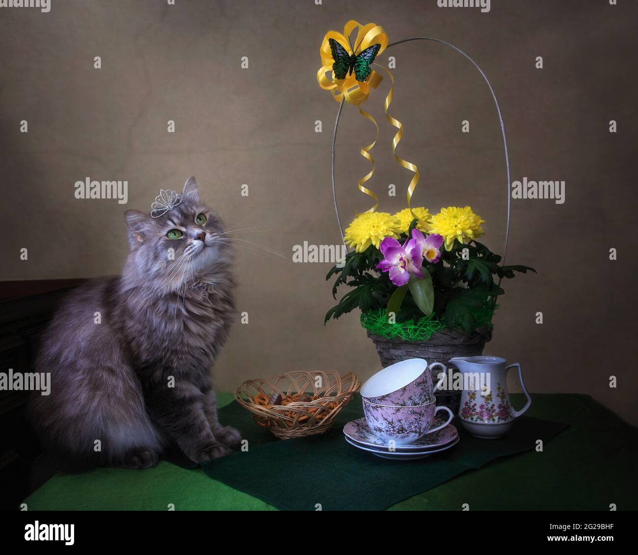Still life with flowers basket and beautiful gray kitty Stock Photo - Alamy