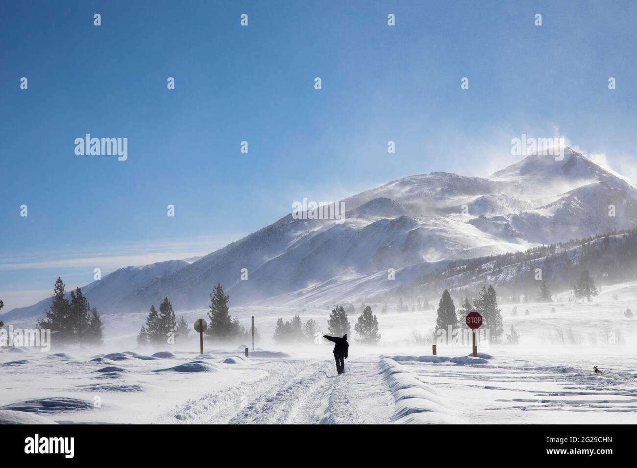 Mammoth Lakes and Mammoth Mountain are a destination for winter outdoor enthusiasts. Stock Photo