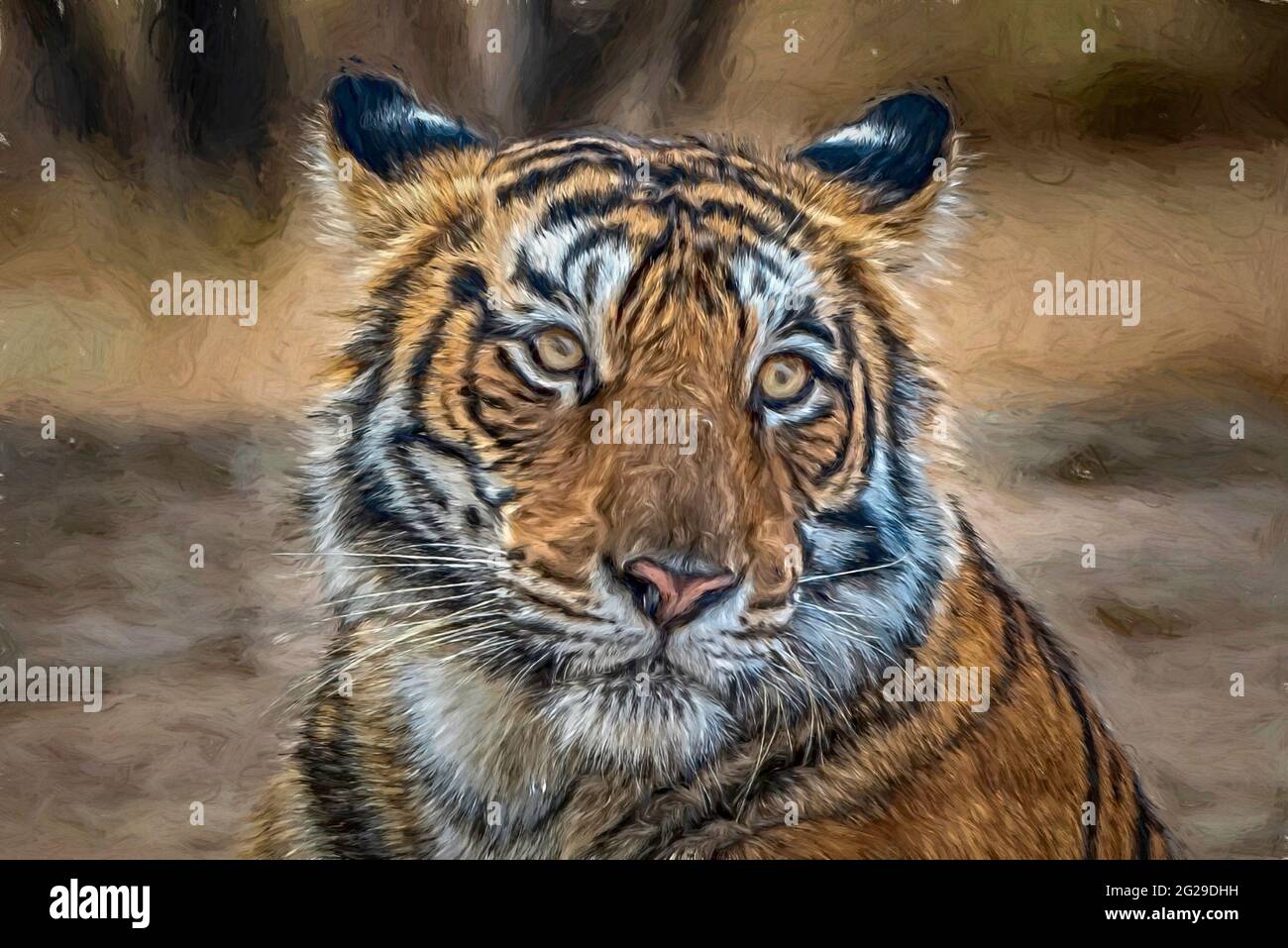 A resident poses with a 3D (3D) tiger painting in Bojonggede, Bogor  Regency, Indonesia, Friday (7/8/2020 Stock Photo - Alamy