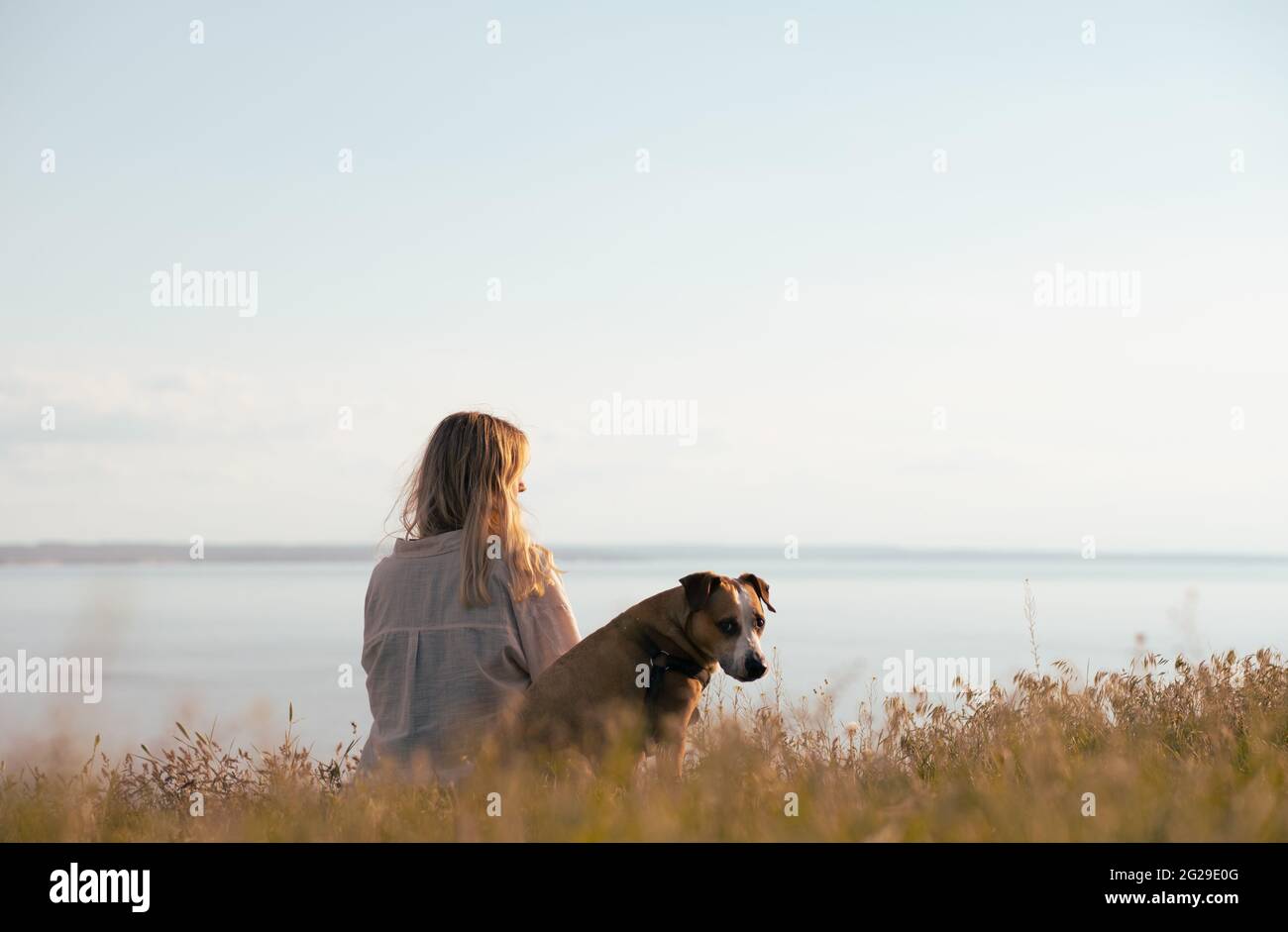 Woman and her dog sit in the sunset by the large lake or bay are Stock Photo