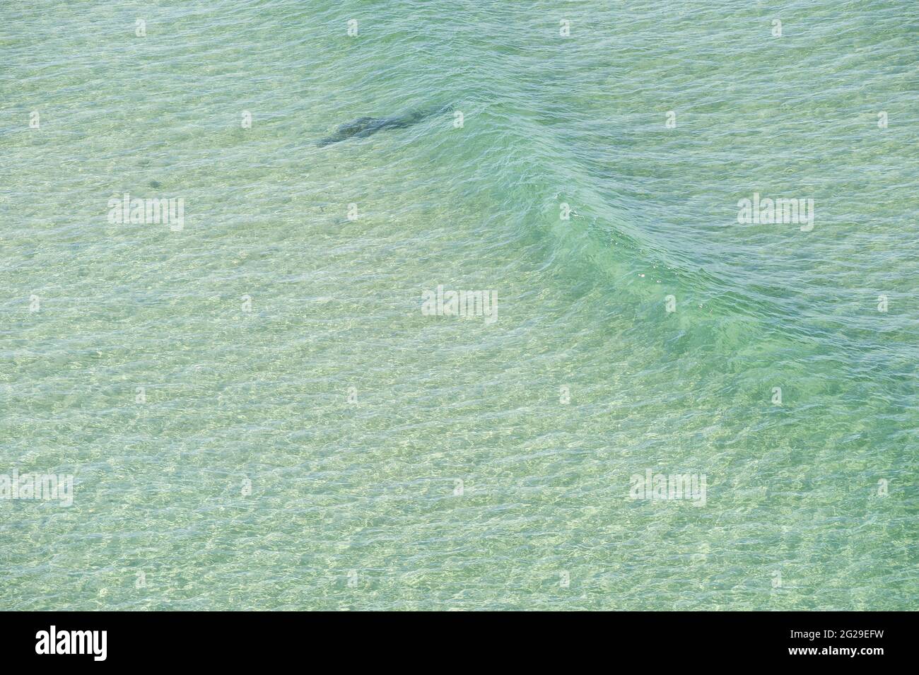 Closeup shot sea waves hi-res stock photography and images - Alamy