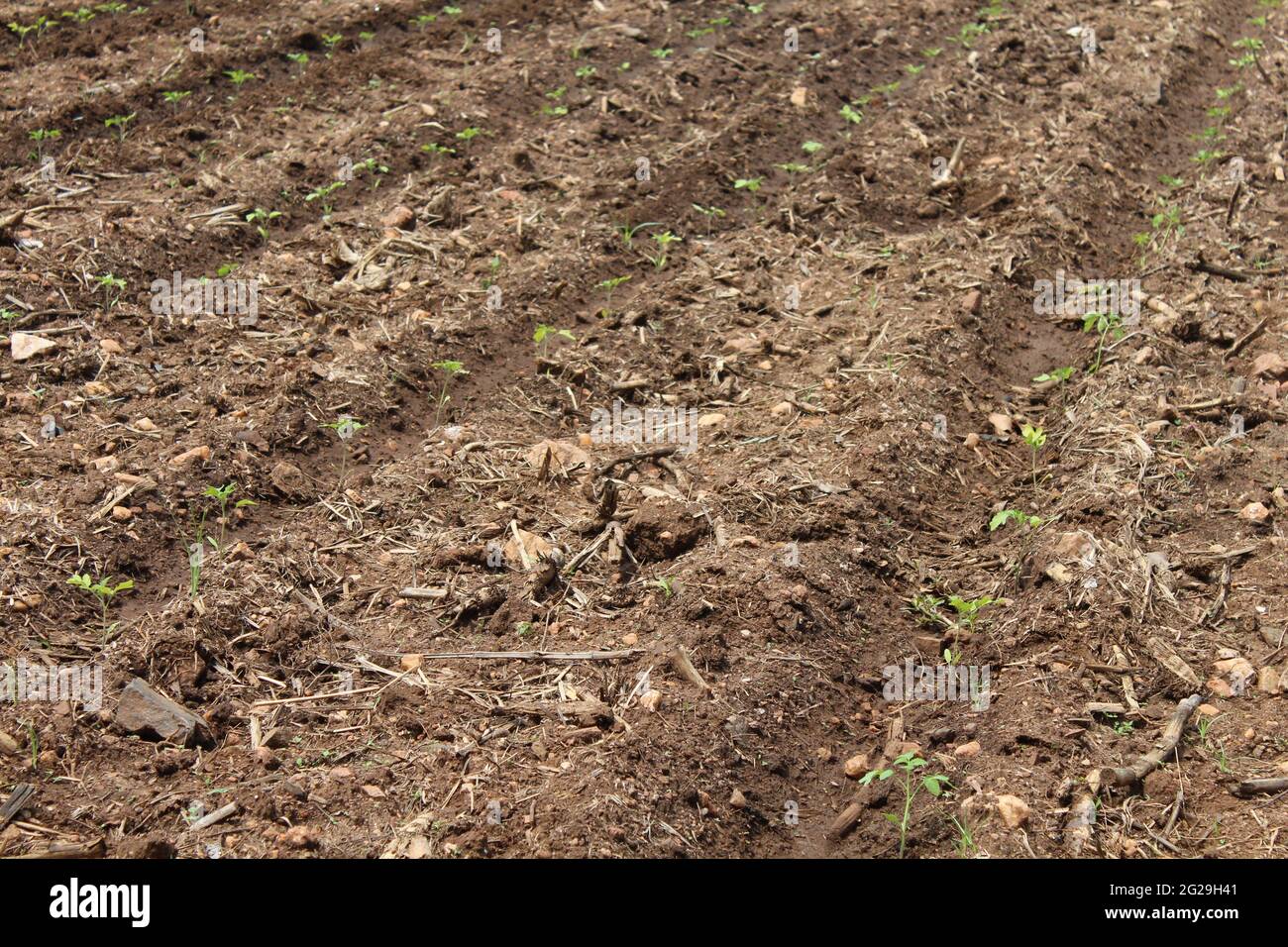 Farming land getting ready Stock Photo Alamy