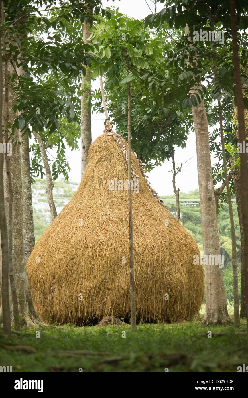A small straw turn Stock Photo