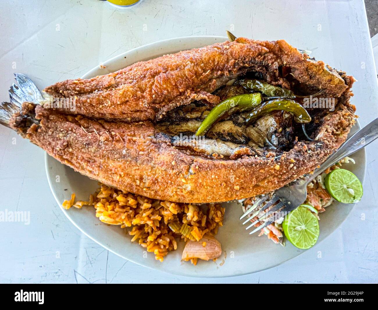 Fried fish. fried smooth fish. Mullet, Flat-headed mullet. Mullet. mullet fish, serrano peppers, lemons,. sea food. Seafood , Food, food, Meals, food. Stock Photo