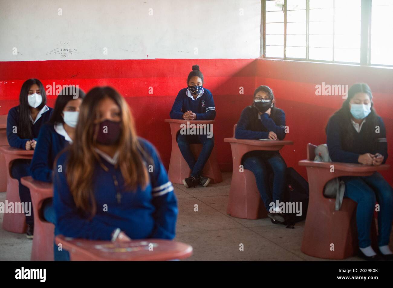 Students wearing face masks sit in a classroom at the Agricultural Technical School Eduardo Salazar Gomez. Ecuador authorized the return to voluntary classes in private and Fiscal institutions, this is the case of the Agricultural Technical School Eduardo Salazar Gomez in the Pifo parish located in the Northwest of the Capital Quito, in this establishment around 43 students of 1st, 2nd grade have entered and 3rd of Baccalaureate in each classroom the total capacity is up to 12 students respecting social distance, this initiative responds to the need of many of these young people to be able to Stock Photo